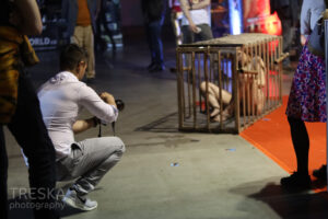 Focení dívky v kleci