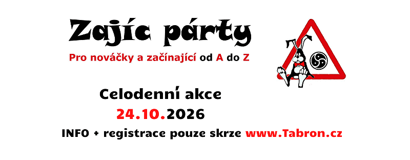 zajic party